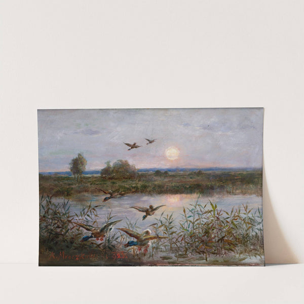 Ducks over Marshes (1923) by Aleksander Mroczkowski