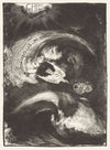Duif in storm