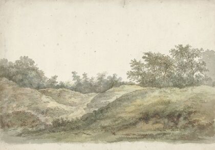 Duinlandschap