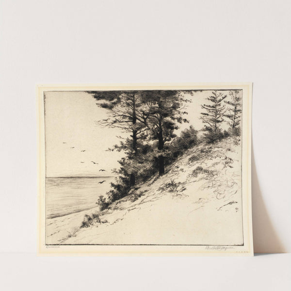 Duneland by Bertha Jaques