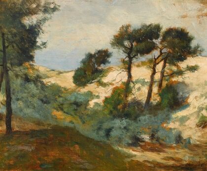 Dunes and Scrub Pine