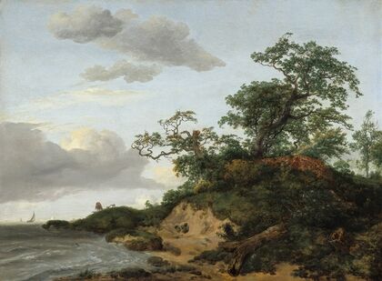 Dunes by the Sea