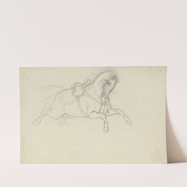 Durchgegangenes gesatteltes Pferd by Ferdinand Fellner