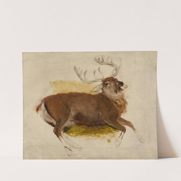 Dying Stag by Sir Edwin Henry Landseer