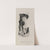 E (1882-1883) by Gustave Fraipont
