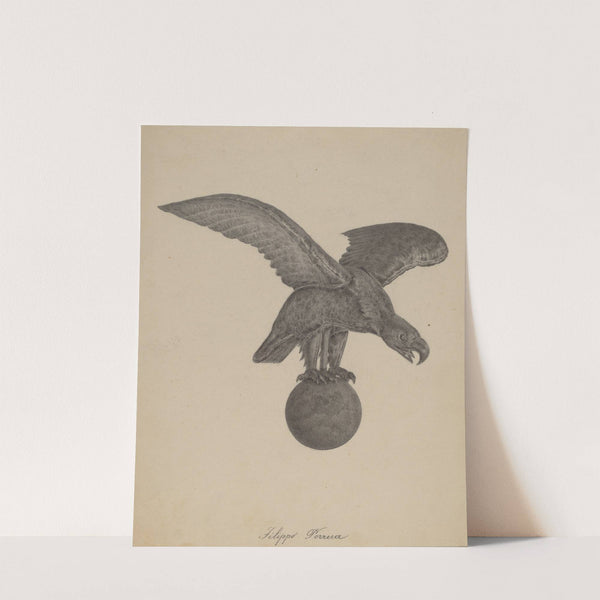 Eagle by Filippo Porreca