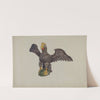 Eagle by Alice Domey