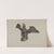 Eagle by Alice Domey