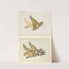 Eagle by American 20th Century