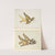 Eagle by American 20th Century
