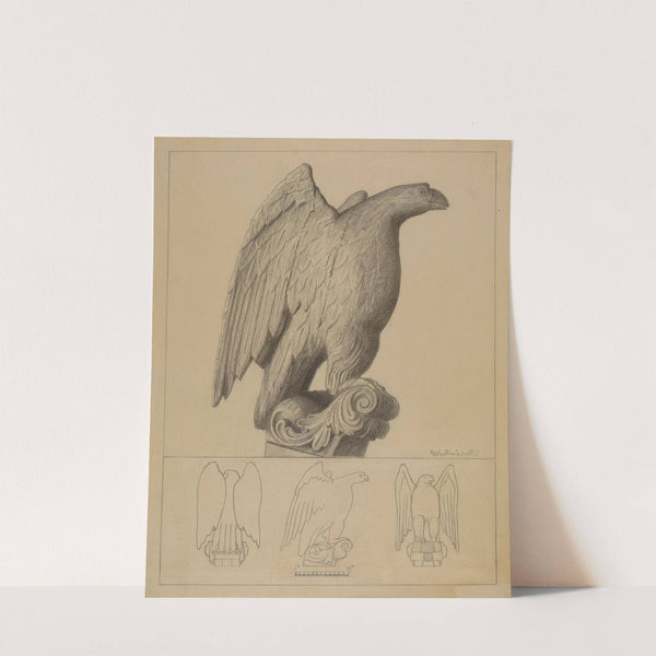 Eagle by Bernard Westmacott