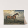 Eagle, a Celebrated Stallion (1809) by James Ward
