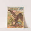 Eagle brand molasses. Bryan Bros. New Orleans (1891) by Koeckert & Walle