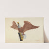 Eagle Figurehead by F.W. Powell