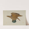 Eagle from Tugboat Wheelhouse by John W. Kelleher