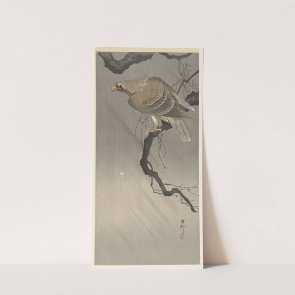 Eagle on branch by Ohara Koson