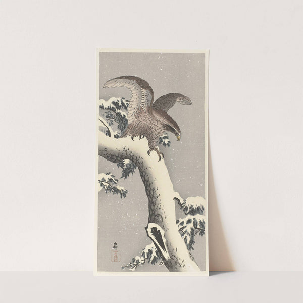 Eagle on snowy pine tree by Ohara Koson
