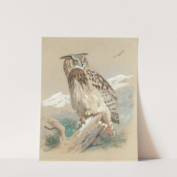 Eagle Owl (1916) by Archibald Thorburn