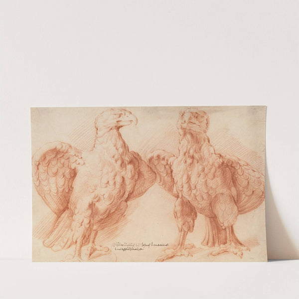 Eagle. Two studies of an antique sculpture; front view half turned to the right, and front view half turned to the left (1628 – 1630) by Willem Panneels