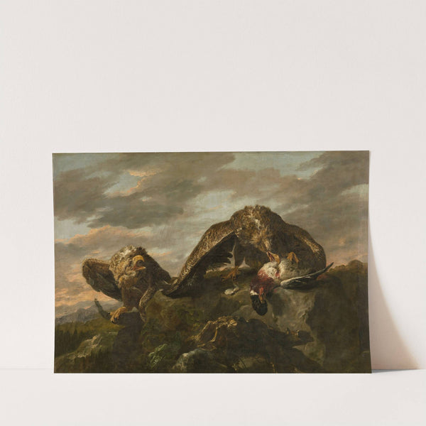 Eagles by Joannes Fijt
