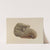 Eagle's Head by American 20th Century