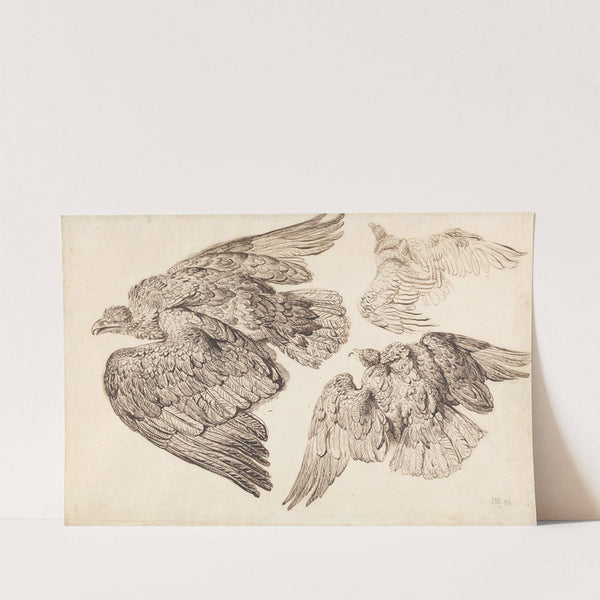 Eagles by James Ward