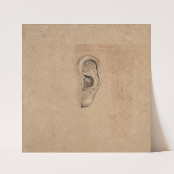 Ear study, no. 2 (1840) by Richard Sanger Smith