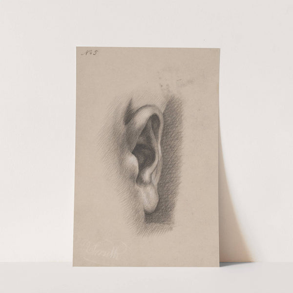 Ear study, no. 5 (1840) by Richard Sanger Smith