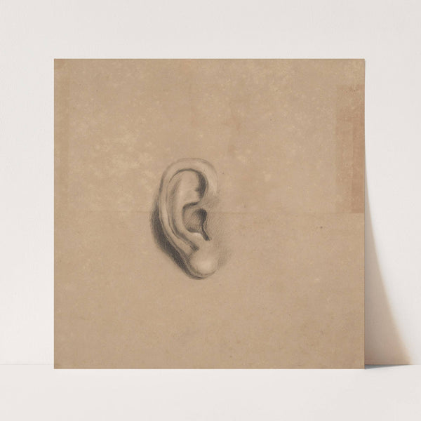 Ear study (1840) by Richard Sanger Smith