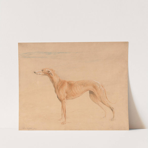 Earl Talbot's Hound, Thomasine by John Linnell