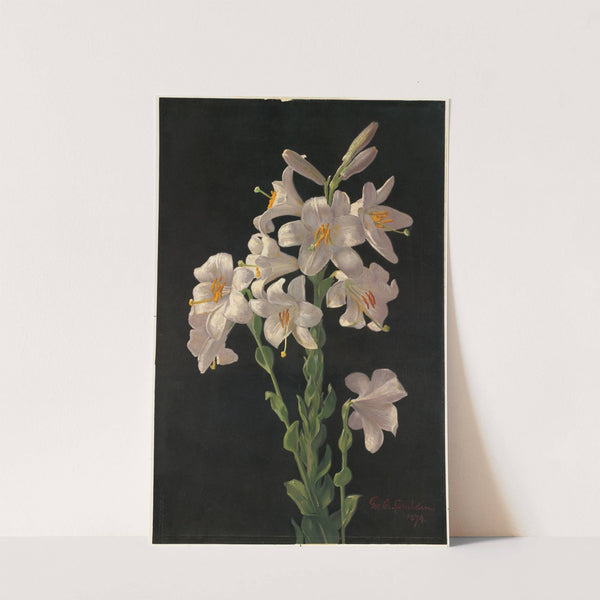 Easter Lily by George Cochran Lambdin