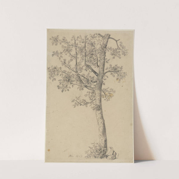 Eberesche (1857) by Hans Thoma