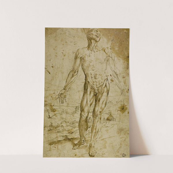 Écorché before Landscape by After Jan Stephan van Calcar