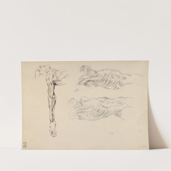 Écorché; Three Studies of a Male Cadaver by Eugène Delacroix