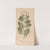 Ectypa vegetabilium Pl.022 (1760-1764) by Christian Gottlieb Ludwig