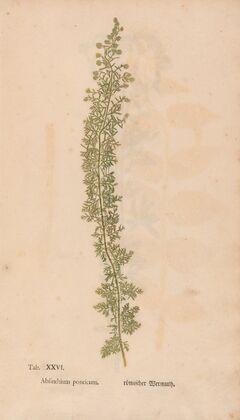 Ectypa vegetabilium Pl.026 (1760-1764)