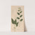 Ectypa vegetabilium Pl.045 (1760-1764) by Christian Gottlieb Ludwig