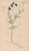 Ectypa vegetabilium Pl.054 (1760-1764)