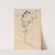 Ectypa vegetabilium Pl.054 (1760-1764) by Christian Gottlieb Ludwig