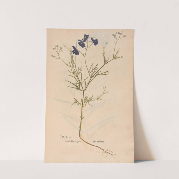 Ectypa vegetabilium Pl.054 (1760-1764) by Christian Gottlieb Ludwig