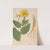 Ectypa vegetabilium Pl.059 (1760-1764) by Christian Gottlieb Ludwig
