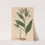 Ectypa vegetabilium Pl.080 (1760-1764) by Christian Gottlieb Ludwig