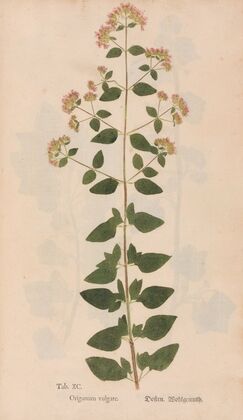Ectypa vegetabilium Pl.090 (1760-1764)
