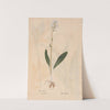 Ectypa vegetabilium Pl.095 (1760-1764) by Christian Gottlieb Ludwig