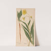 Ectypa vegetabilium Pl.096 (1760-1764) by Christian Gottlieb Ludwig