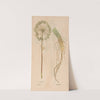 Ectypa vegetabilium Pl.102 (1760-1764) by Christian Gottlieb Ludwig