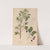 Ectypa vegetabilium Pl.108 (1760-1764) by Christian Gottlieb Ludwig