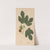 Ectypa vegetabilium Pl.109 (1760-1764) by Christian Gottlieb Ludwig