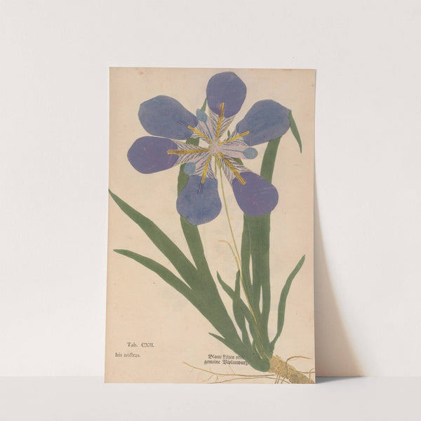 Ectypa vegetabilium Pl.112 (1760-1764) by Christian Gottlieb Ludwig