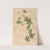 Ectypa vegetabilium Pl.116 (1760-1764) by Christian Gottlieb Ludwig